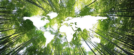 集成墻板 集成墻板