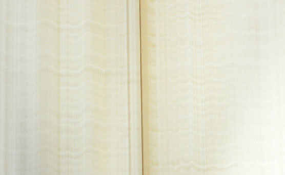 生態(tài)集成墻體